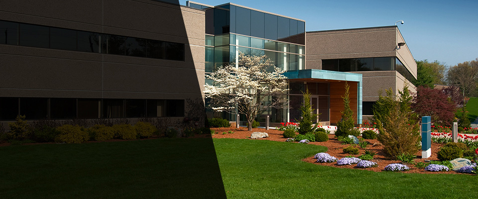 Chester Springs Landscapers