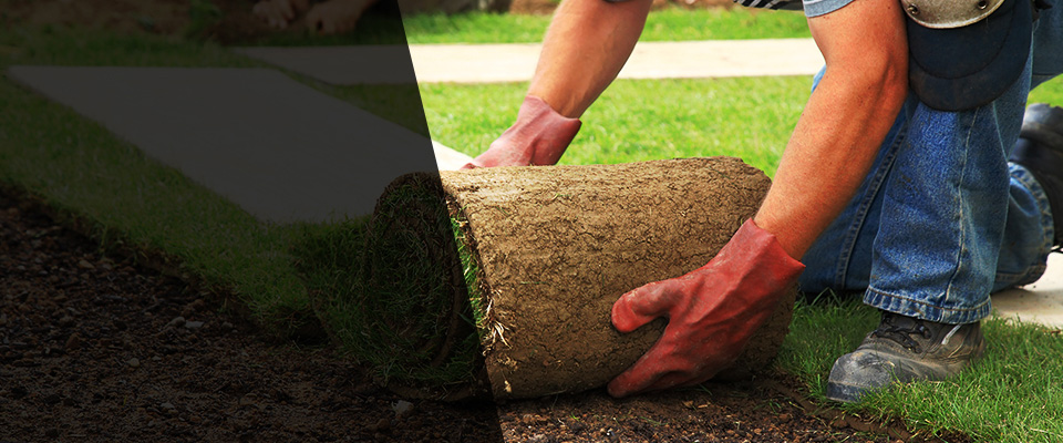 Chester Springs Landscapers